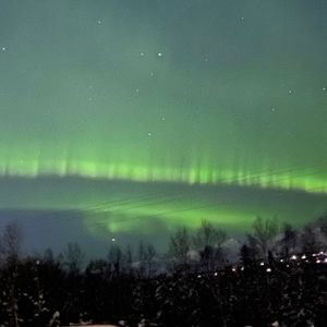 Meet your Posher, Posh